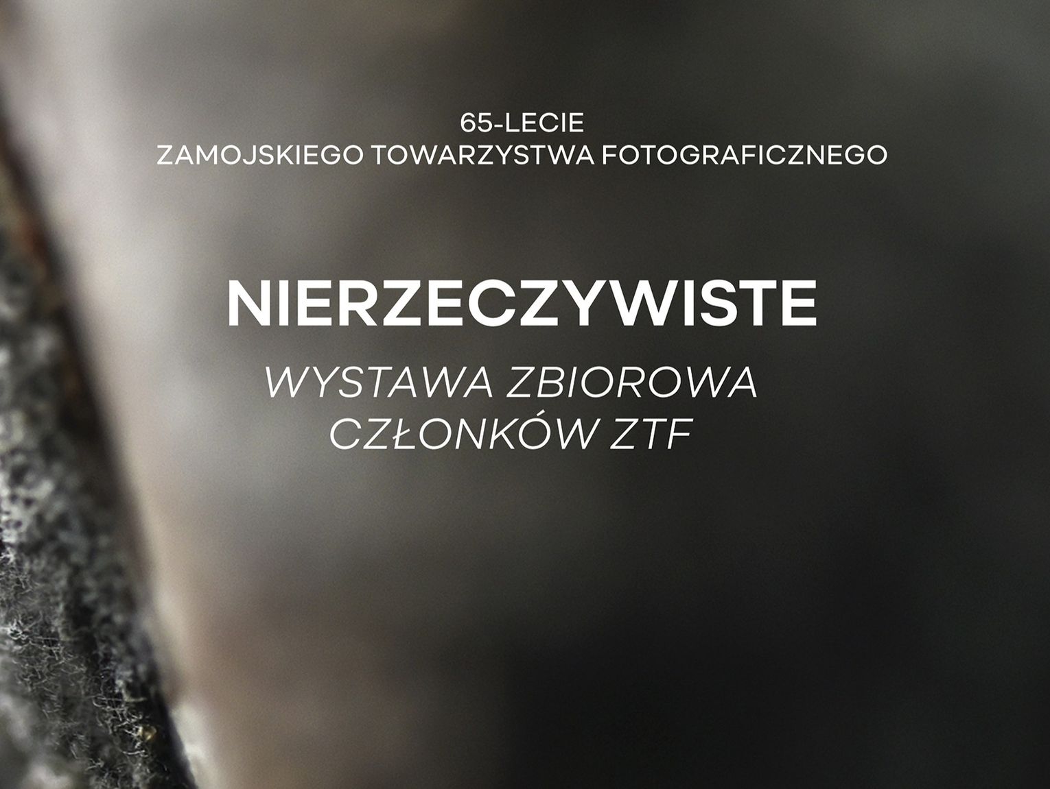 Zamojszczyzna w obiektywie ZTF. Jubileuszowe wystawy i listopadowe wernisaże