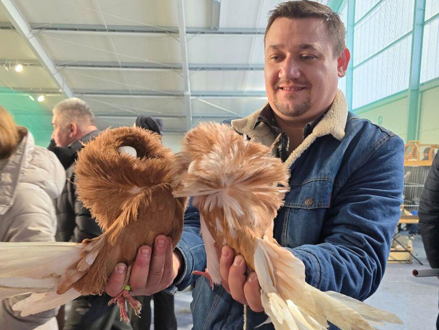 Zamość: 53 hodowców i 670 sztuk gołębi w 40 rasach. Wystawa była udana [ZDJĘCIA]