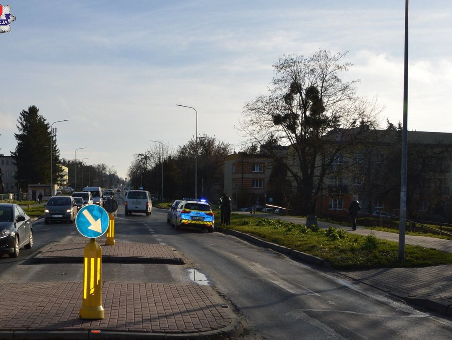 Zamość: 84-letni kierowca nie ustąpił i potrącił 19-latkę na przejściu dla pieszych