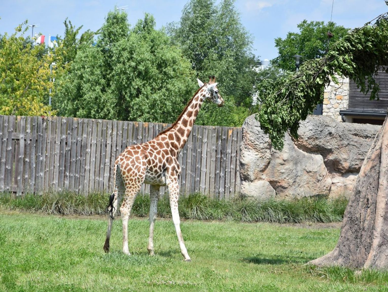 Zamość: Brat prezydenta wicedyrektorem zamojskiego zoo. Tego stanowiska nie było od 2020 roku