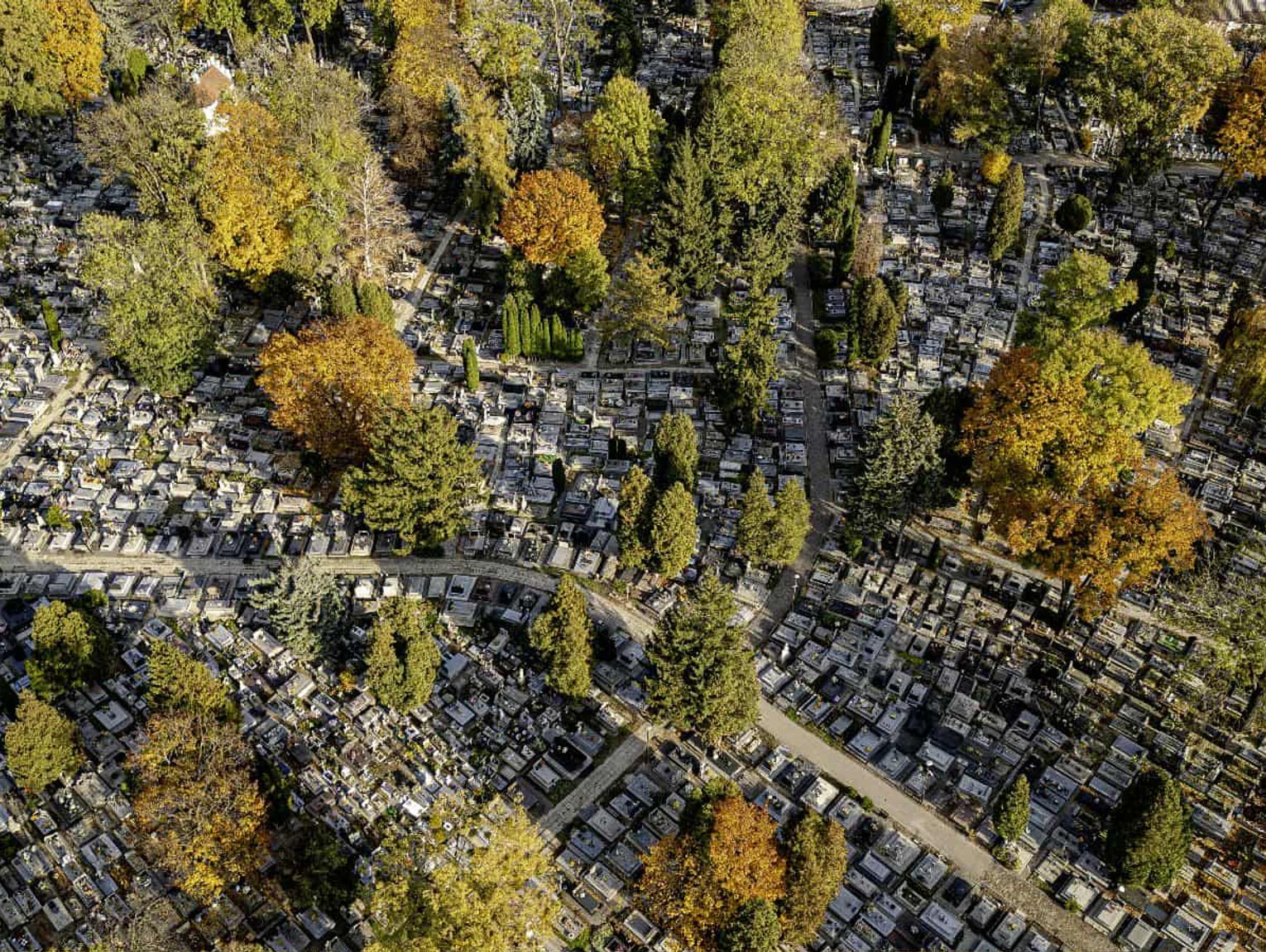 Zamość, Zwierzyniec, Szczebrzeszyn organizują kwesty w Dzień Wszystkich Świętych