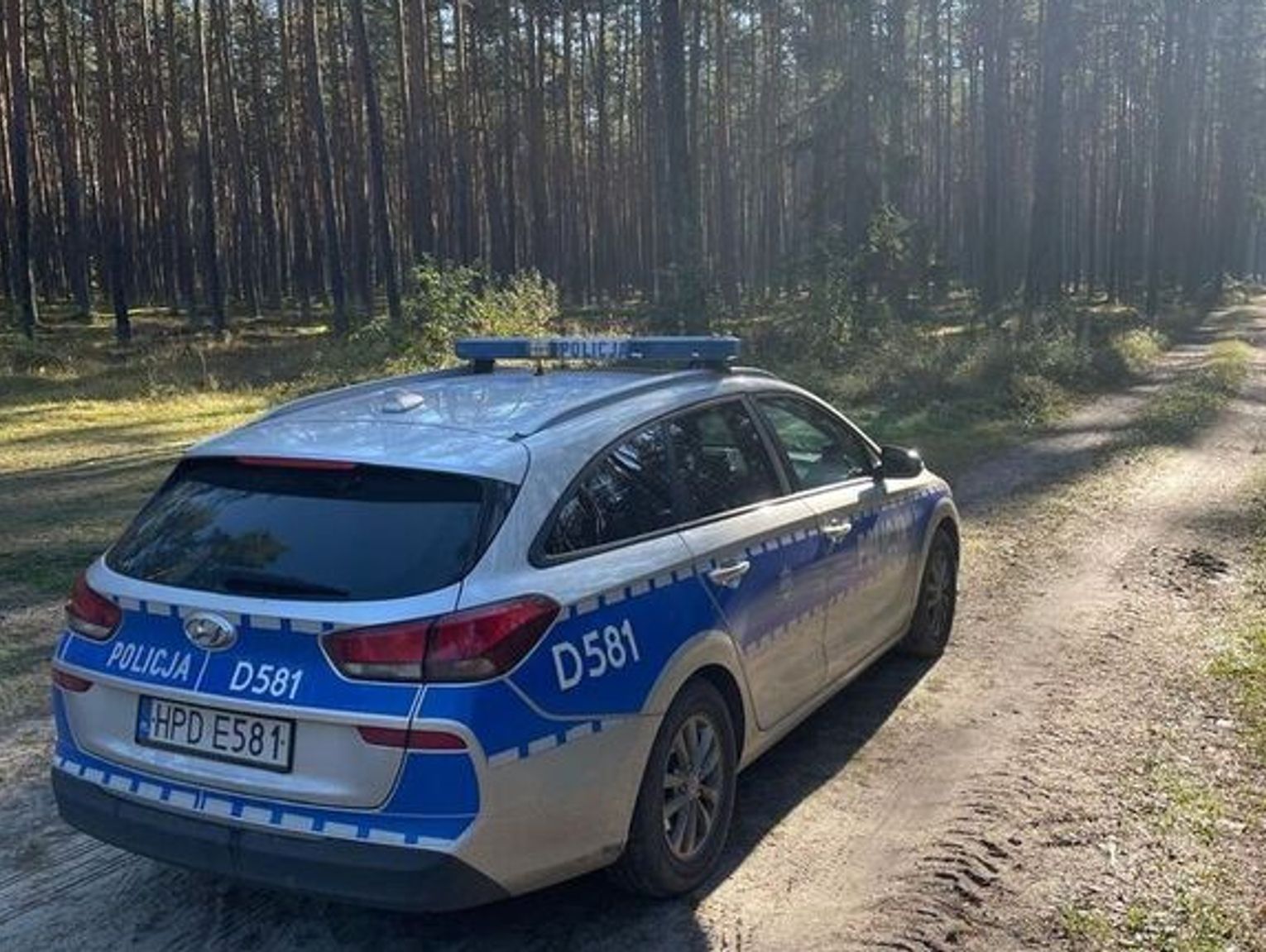 Zbierali maliny i grzyby, zaginęli w lesie. Szczęśliwy finał poszukiwań dwójki zaginionych w powiecie biłgorajskim