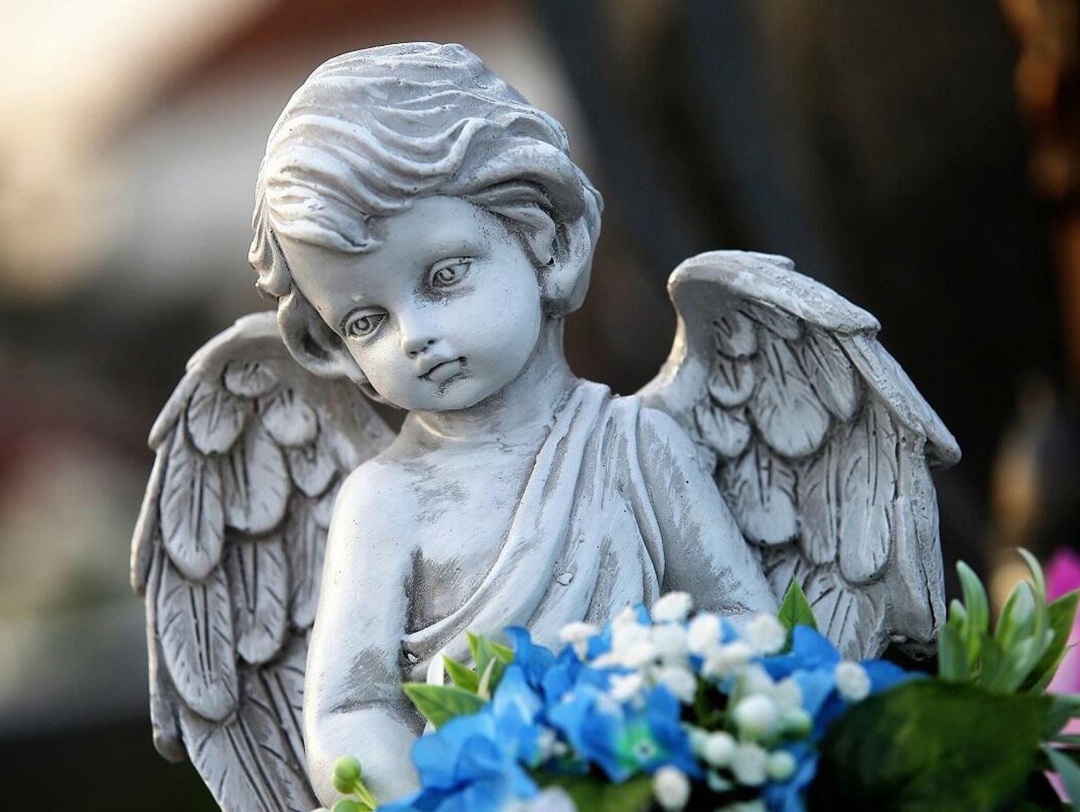 Żegnamy znanych, zasłużonych mieszkańców powiatu zamojskiego [LISTA]