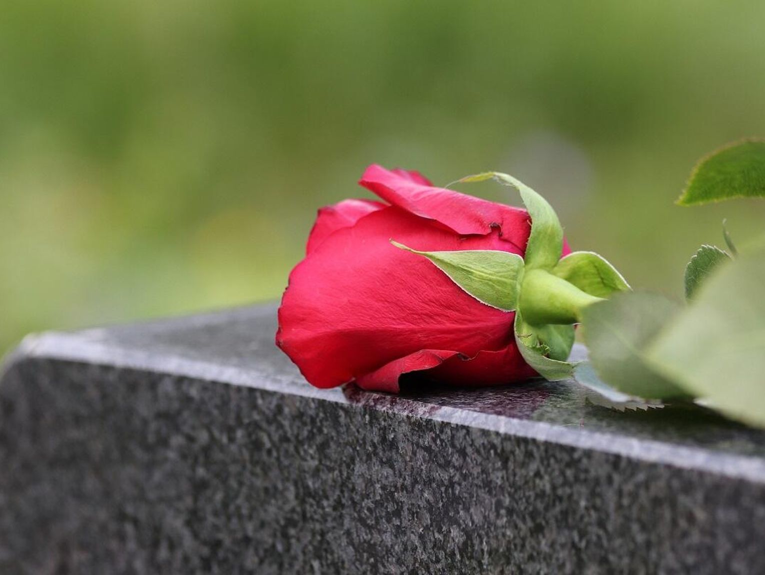 Znani, zasłużeni zamościanie, którzy odeszli w 2025 roku