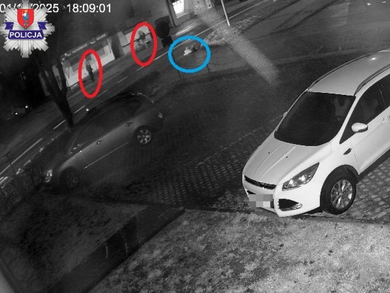 Znieczulica w Zamościu. Ani piesi, ani kierowcy nie wezwali pomocy do potrąconego człowieka. On nie przeżył