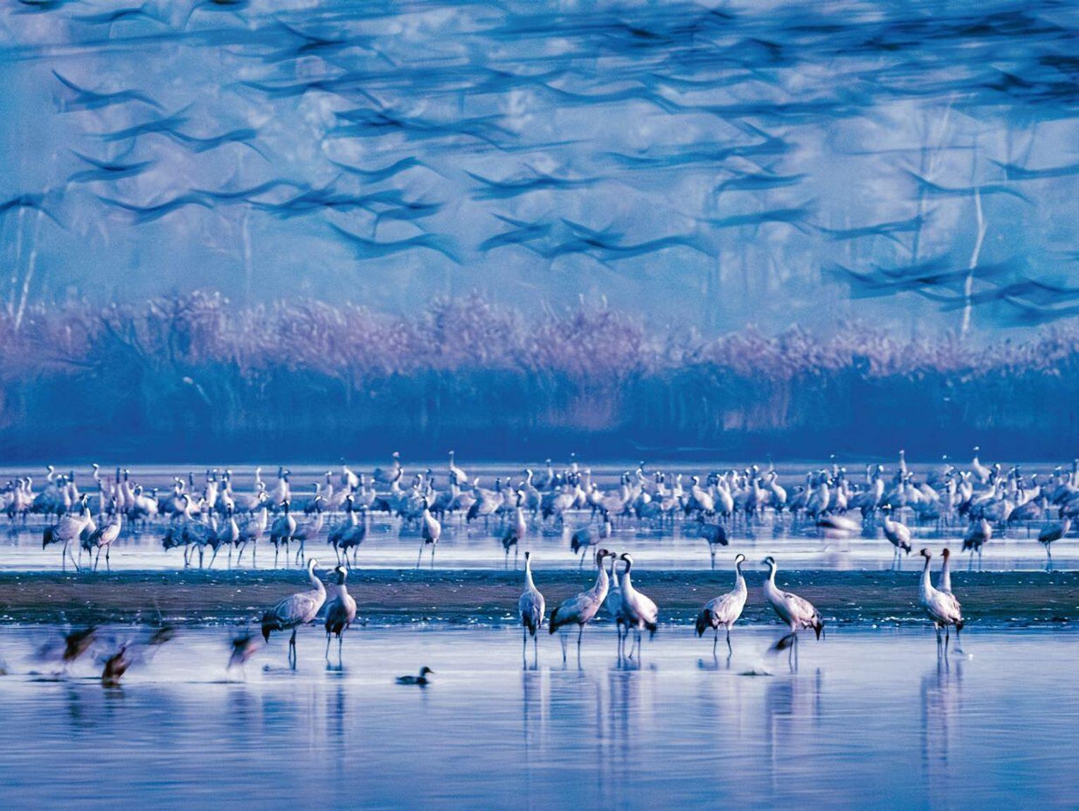 Zobacz najlepsze zdjęcia Zamojskiego Przeglądu Fotografii [GALERIA]