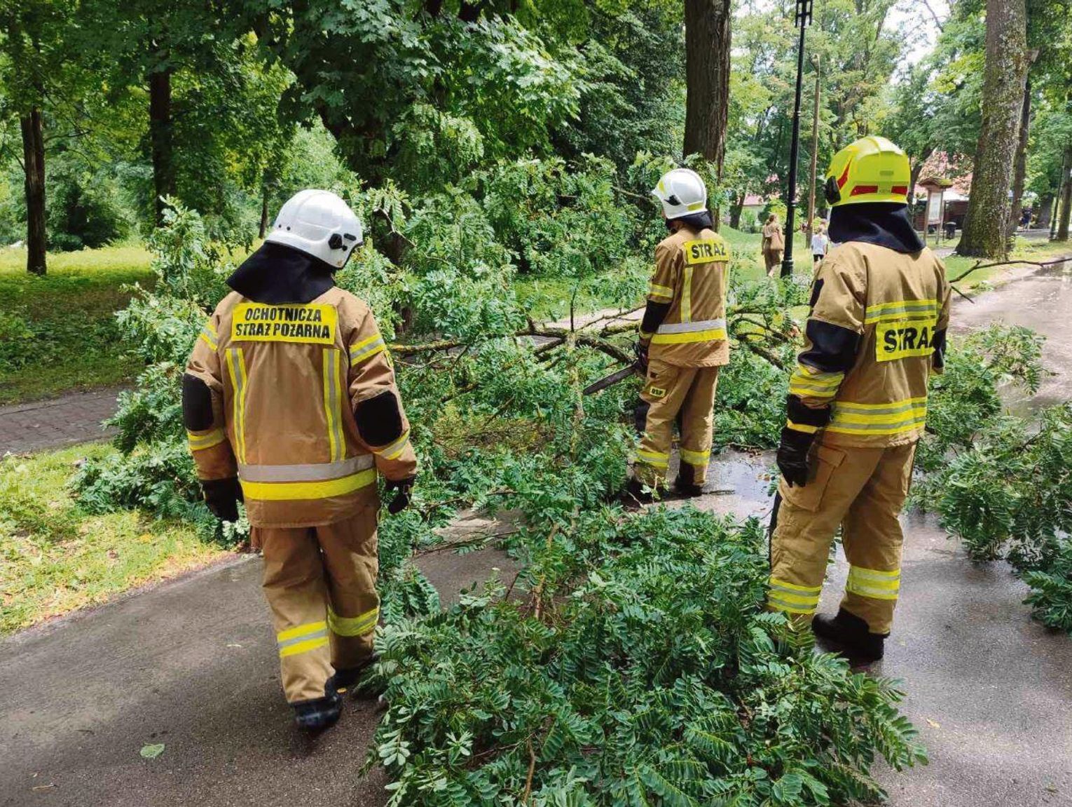 Zwierzyniec: Trwa casting na strażaka. Sprawdź, czy się nadajesz