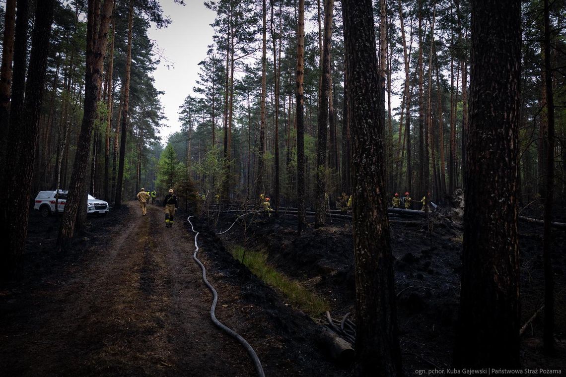 80 godzin walki z ogniem. Strażacy jeszcze dogaszają i przelewają pożarzysko w Puszczy Solskiej Strażacy podkreślają, że mimo opanowania pożaru Puszczy Solskiej sytuacja nadal wymaga dużej ostrożności.