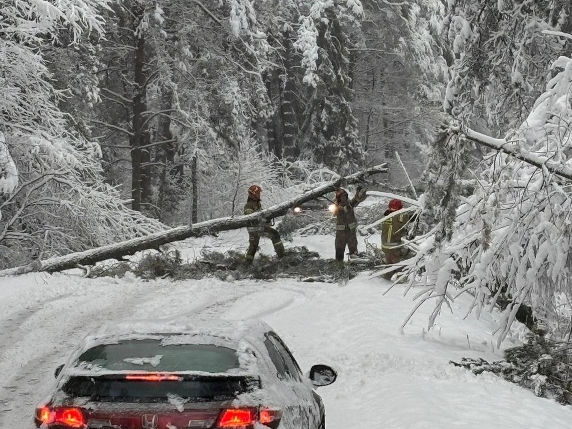 80 interwencji strażaków w powiecie zamojskim. Kierowcy byli im wdzięczni Ponad 80 razy wyjeżdżali w weekend zamojscy strażacy do zdarzeń związanych z opadami śniegu.
