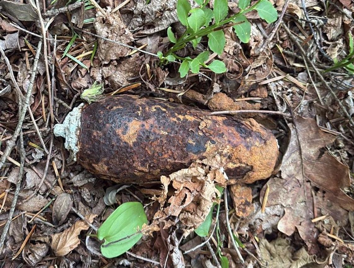 Aleksandrów: Wybuchowe znalezisko w lesie