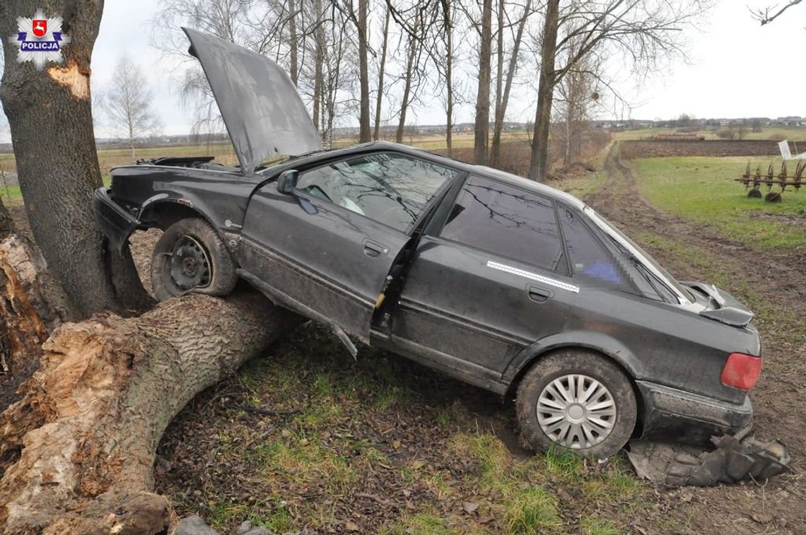 Audi na drzewie w Wólce Horyszowskiej. 36-latek zasłabł?