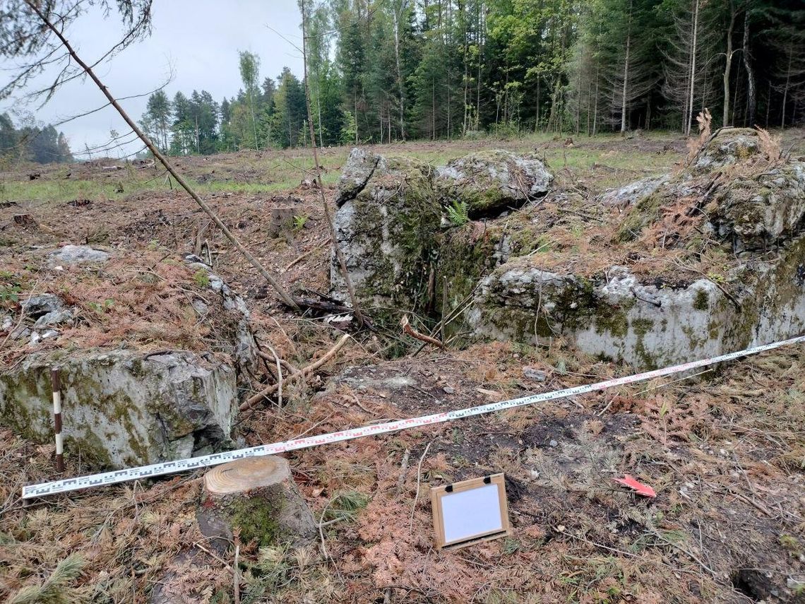 Na trasie budowy drogi ekspresowej S17 Piaski – Hrebenne, odc. Nr 9 – Tomaszów Lubelski (koniec obwodnicy) – Hrebenne (początek obwodnicy), zlokalizowano rozbity bunkier o żelbetowej konstrukcji, który wcześniej był ukryty wśród gęstych zarośli i podszytu leśnego.