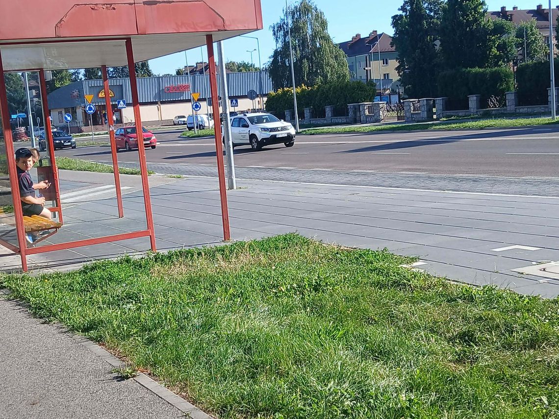 „Betonoza” po zamojsku. Bitwa o każdy metr cienia „Betonoza” po zamojsku. Bitwa o każdy metr cienia