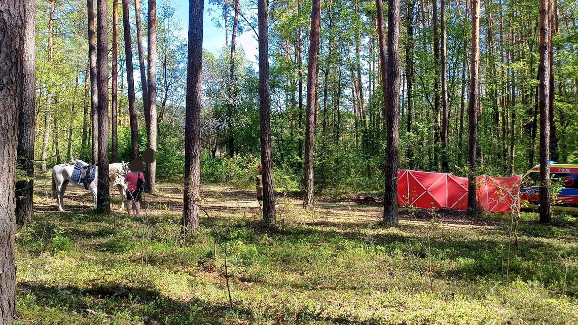 Biłgoraj: 14-latka zginęła w lesie. Śledztwo umorzone 2 maja br. na terenie gminy Biłgoraj doszło do tragicznego wypadku. Nastolatka spadła z konia. Zmarła.