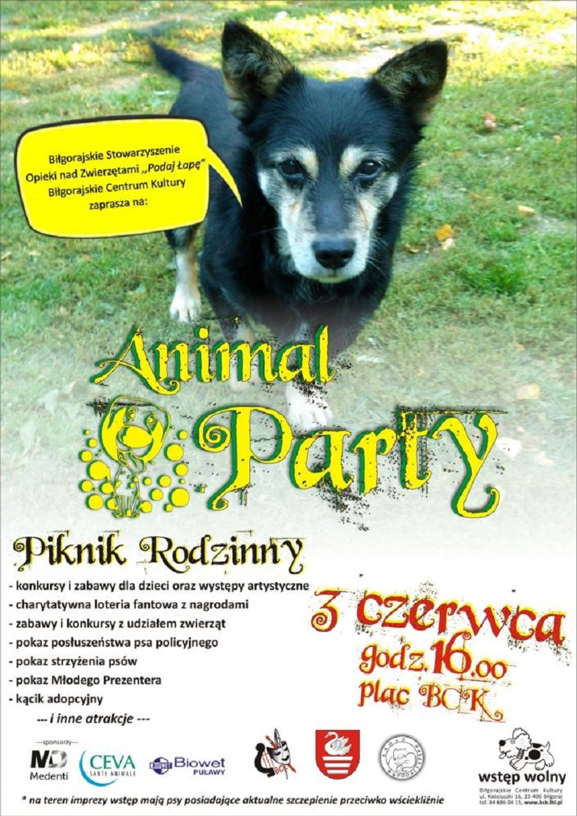Biłgoraj: Animal Party przy BCK