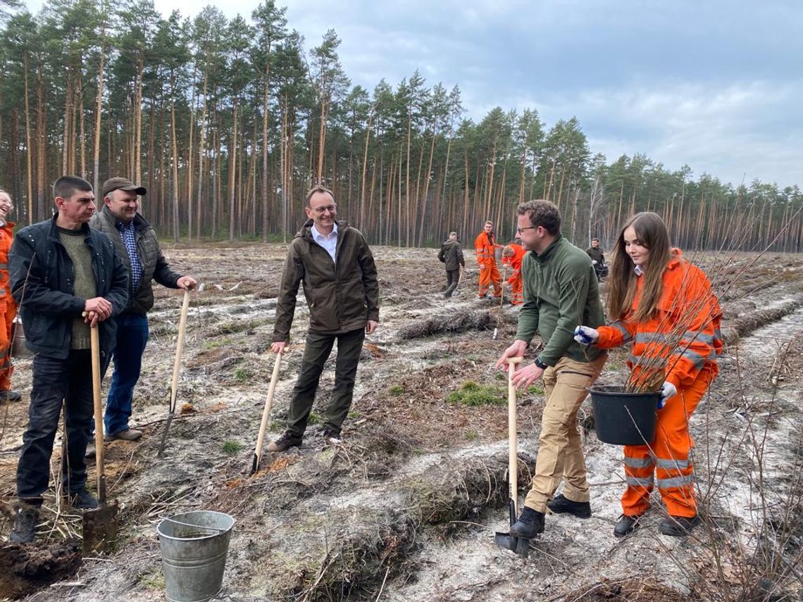 Biłgoraj: Wspólne sadzenie lasu