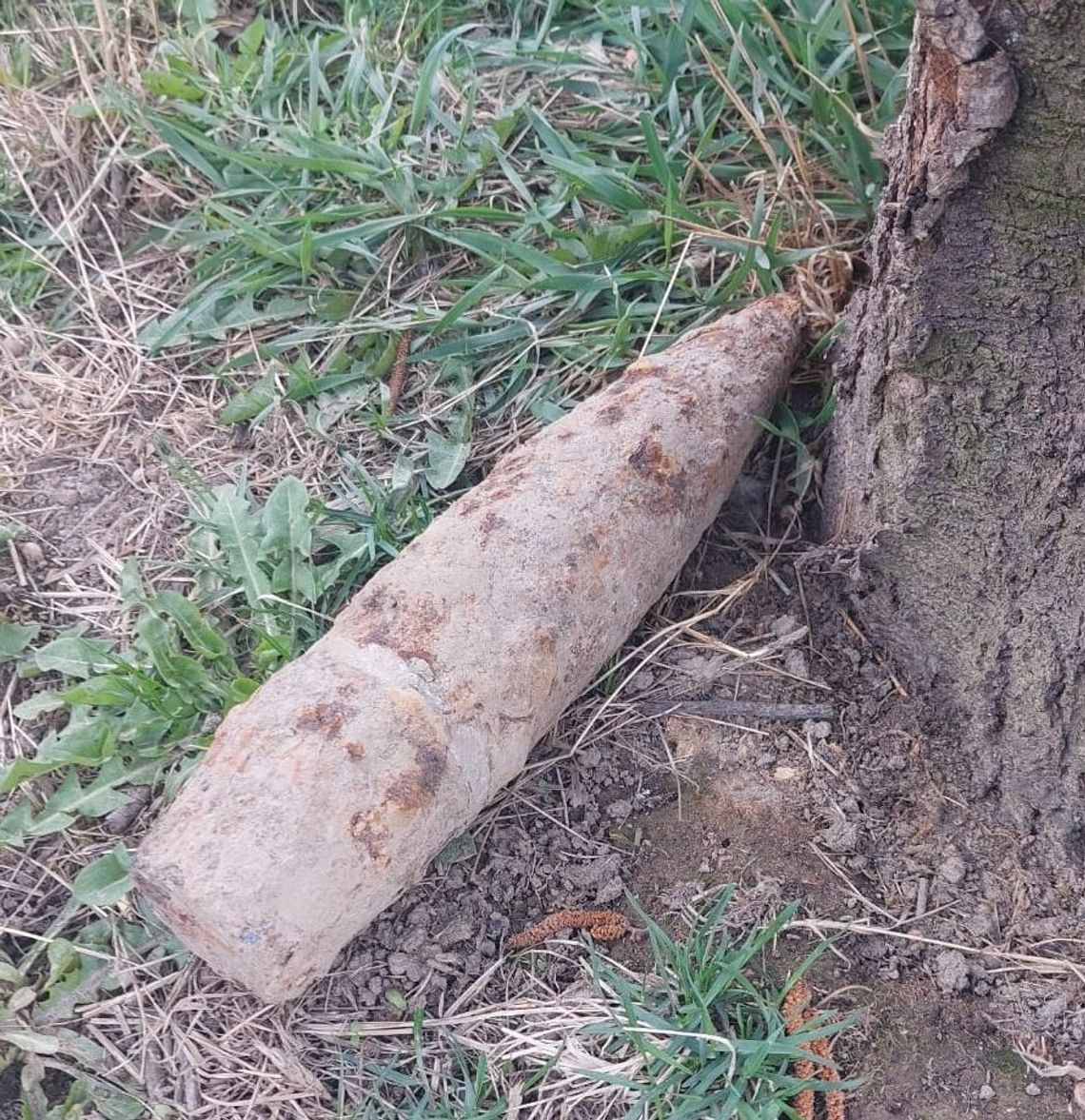 Bononia: Pocisk w ogródku