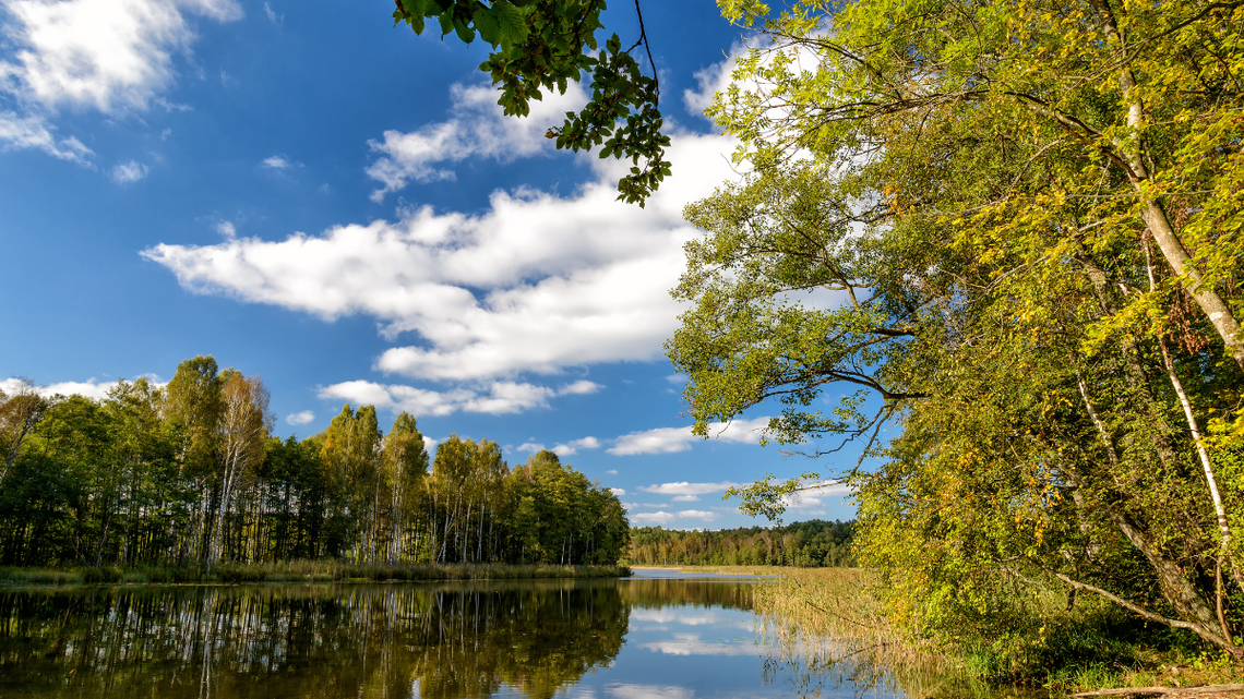 Bony turystyczne zastąpiły lokalne programy dopłat.