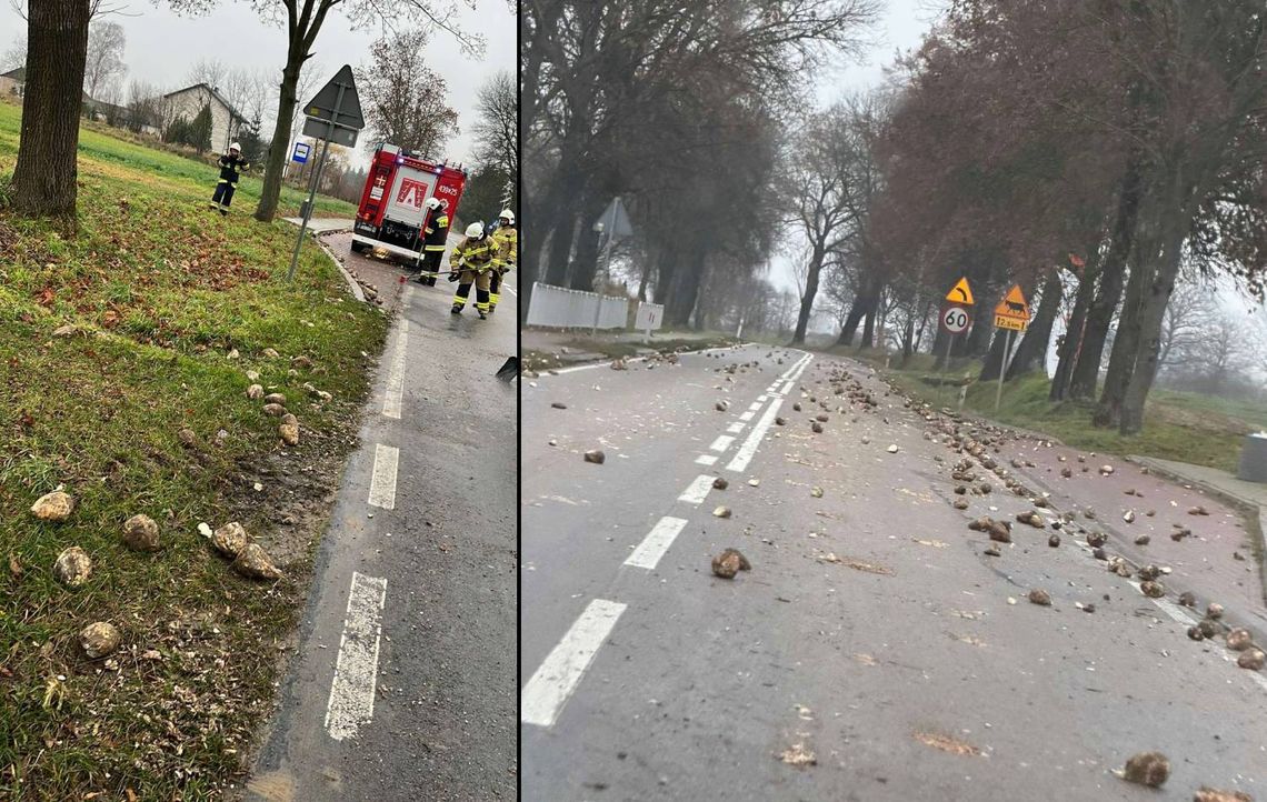 Buraki cukrowe zablokowały drogę wojewódzką w woj. lubelskim. Akcja straży pożarnej! W niedzielę, 16 listopada, o godzinie 7:56, lokalne służby ratunkowe odebrały zgłoszenie o nietypowej przeszkodzie. Chodziło o rozsypane buraki cukrowe.