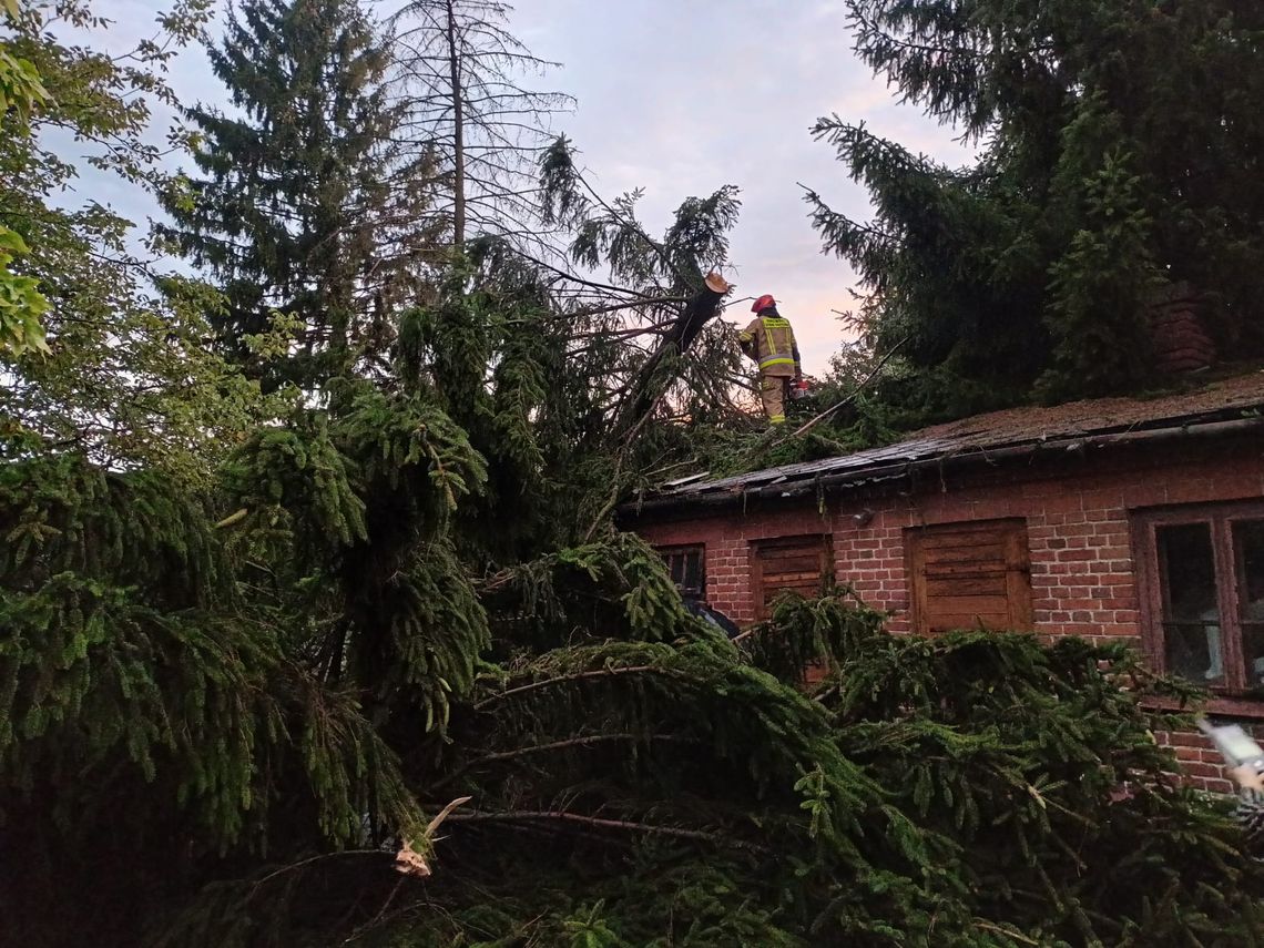 Burze przetaczają się nad Polską. Pozrywane dachy, połamane drzewa