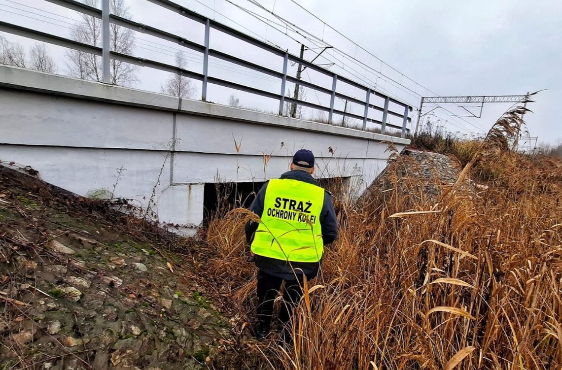 Opalali kable. Wpadli na gorącym uczynku w fotopułapkę! Funkcjonariusze SOK przybyli na miejsce, ujawniając dwa tlące się ogniska.
