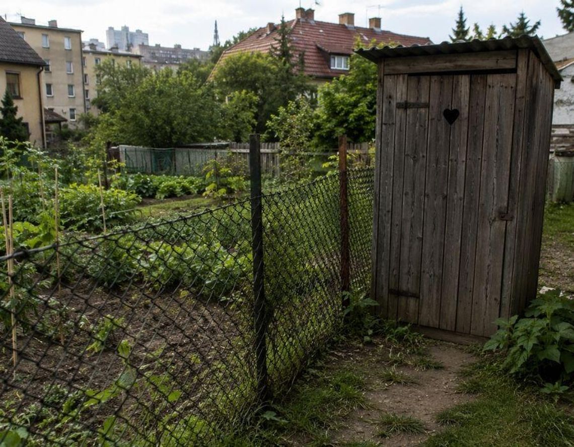 Lubelskie: Rodzina bez kanalizacji, sąsiadka z wychodkiem „pod nosem”. Miasto: Czekamy na sąd... Zdjęcie ilustracyjne