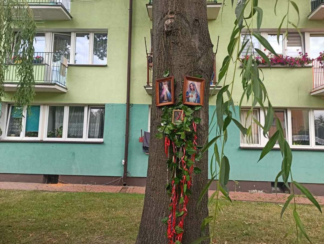 Trzy miesiące temu miasteczko w województwie lubelskim stało się sławne na całą Polskę.