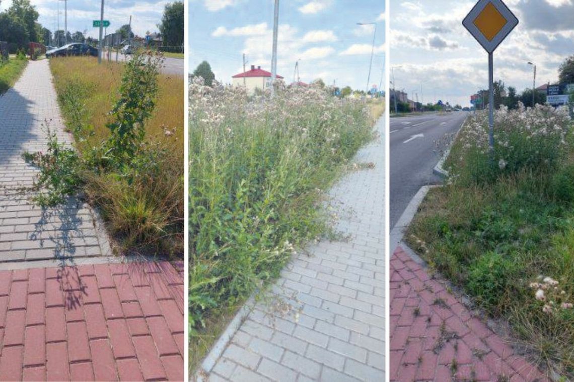 Tak wyglądały pobocza przy drodze w Jarosławcu. Na nie skarżyli się mieszkańcy.