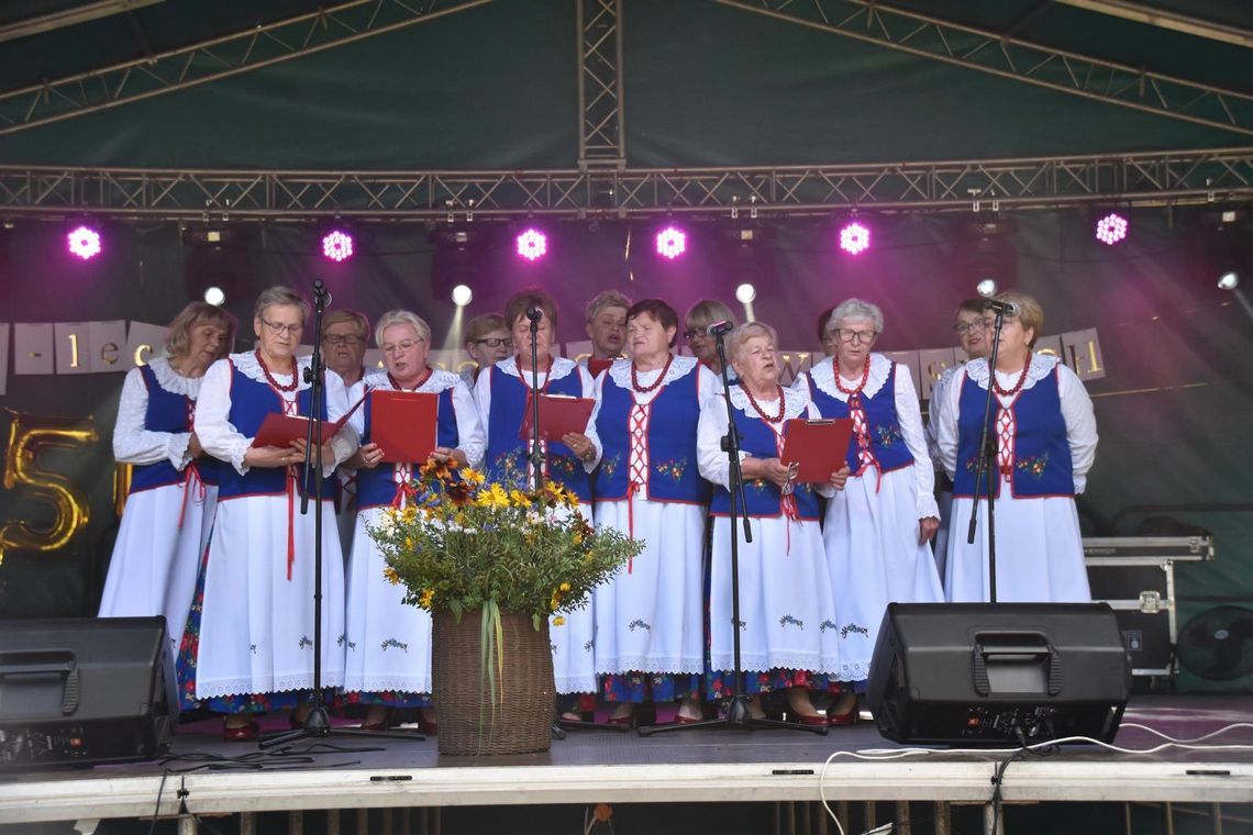 Dąbrowica: Piknik rodzinny z jubileuszem w tle [ZDJĘCIA]