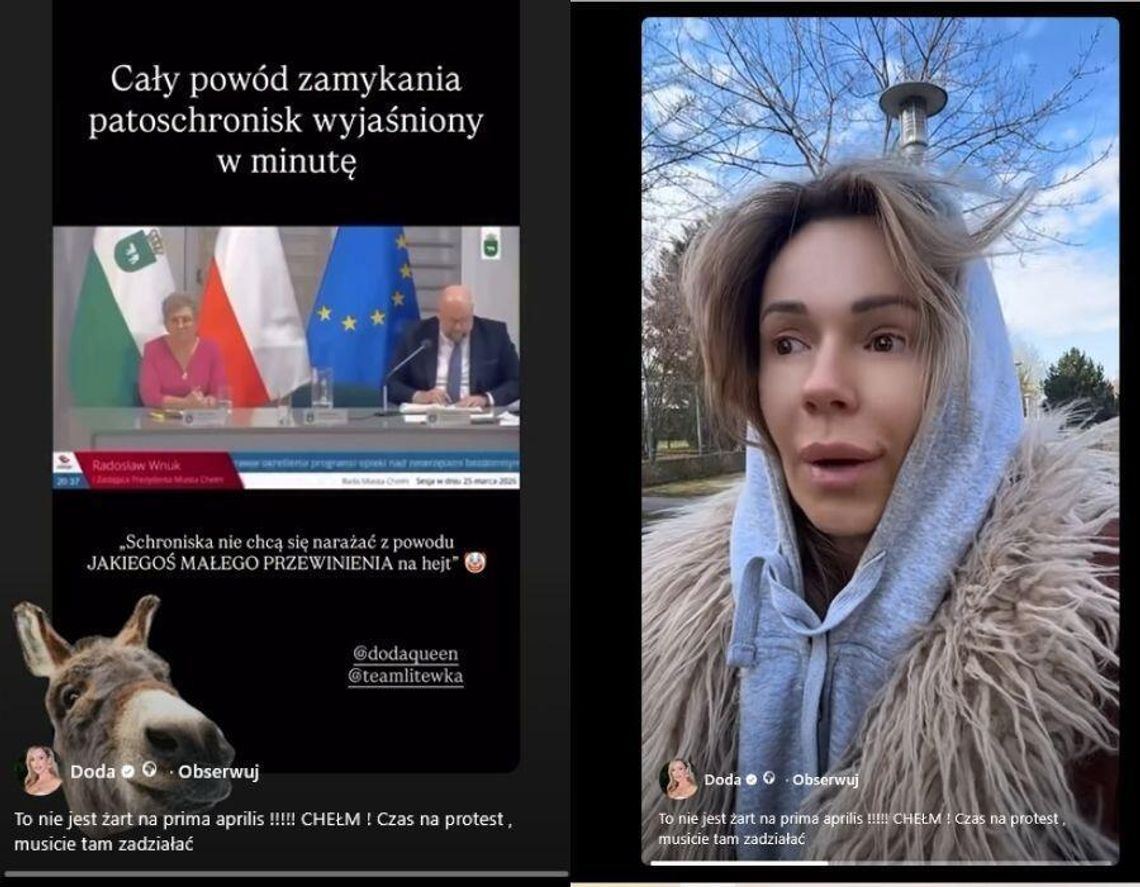 Wypowiedź wiceprezydenta Radosława Wnuka podczas ostatniej Sesji Rady Miasta Chełm, dotycząca sytuacji miejskiego schroniska dla zwierząt wywołała poruszenie nie tylko w Chełmie. Do sprawy odniosła się piosenkarka Dod