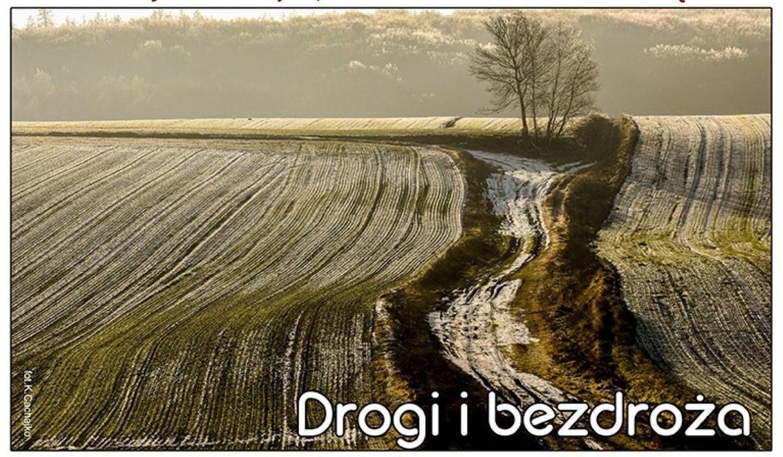 Drogi i bezdroża. To tytuł wystawy Zamojskiej Grupy Fotograficznej – Grupy Twórczej.