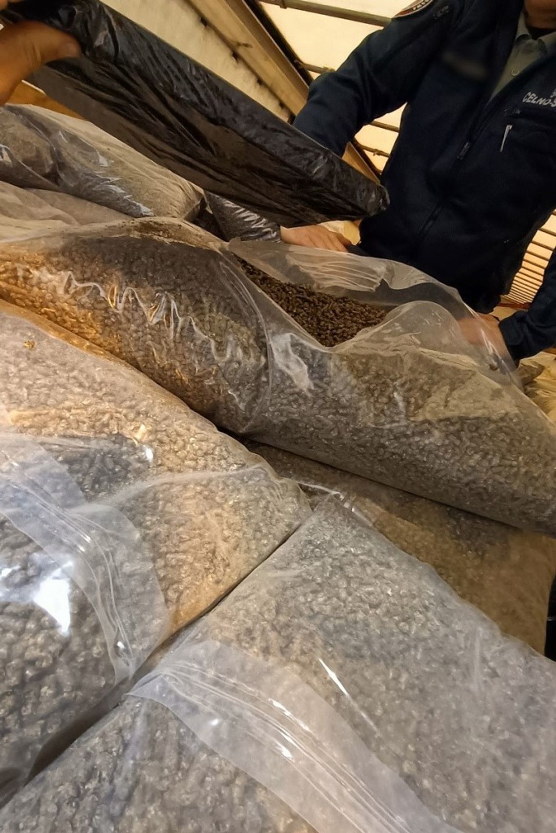 Duży przemyt papierosów zatrzymany na granicy z Białorusią Funkcjonariusze lubelskiej służby celno-skarbowej udaremnili przemyt do Polski prawie 23 tys. paczek papierosów.