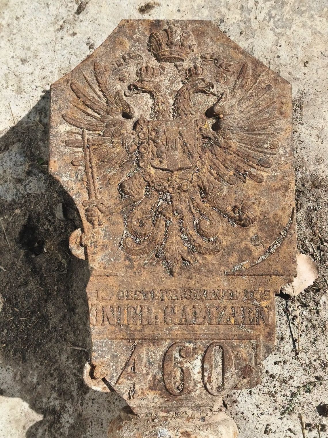 Dwugłowy, cesarski orzeł wyszedł spod łopaty w Lipinie. XIX-wieczny zabytek trafi do muzeum w Hrubieszowie Dwugłowy, cesarski orzeł wyszedł spod łopaty w Lipinie. XIX-wieczny zabytek trafi do muzeum w Hrubieszowie