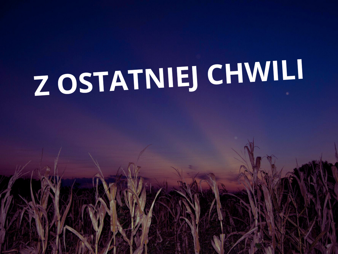 Policja zabezpieczyła teren w którym doszło do wybuchu niezidentyfikowanego jak na razie obiektu.