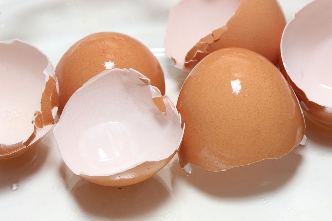 Faszerowane jajka, przepis Eweliny Paprotnej z Wałdowa Szlacheckiego