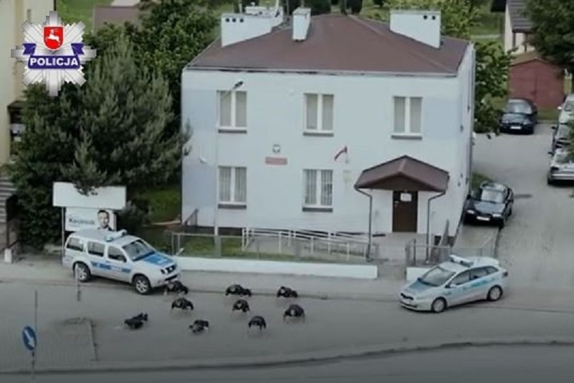 #GaszynChallenge i policjanci z posterunku w Krasnobrodzie
