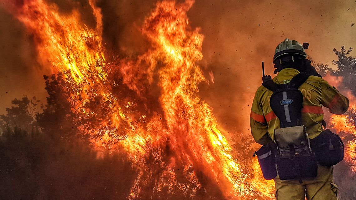 Gigantyczna kara za wypalanie traw. Mocno uderzy po kieszeni W 2024 roku straż pożarna odnotowała ponad 21 tys. pożarów traw, w których zginęło 5 osób, a 40 zostało rannych.