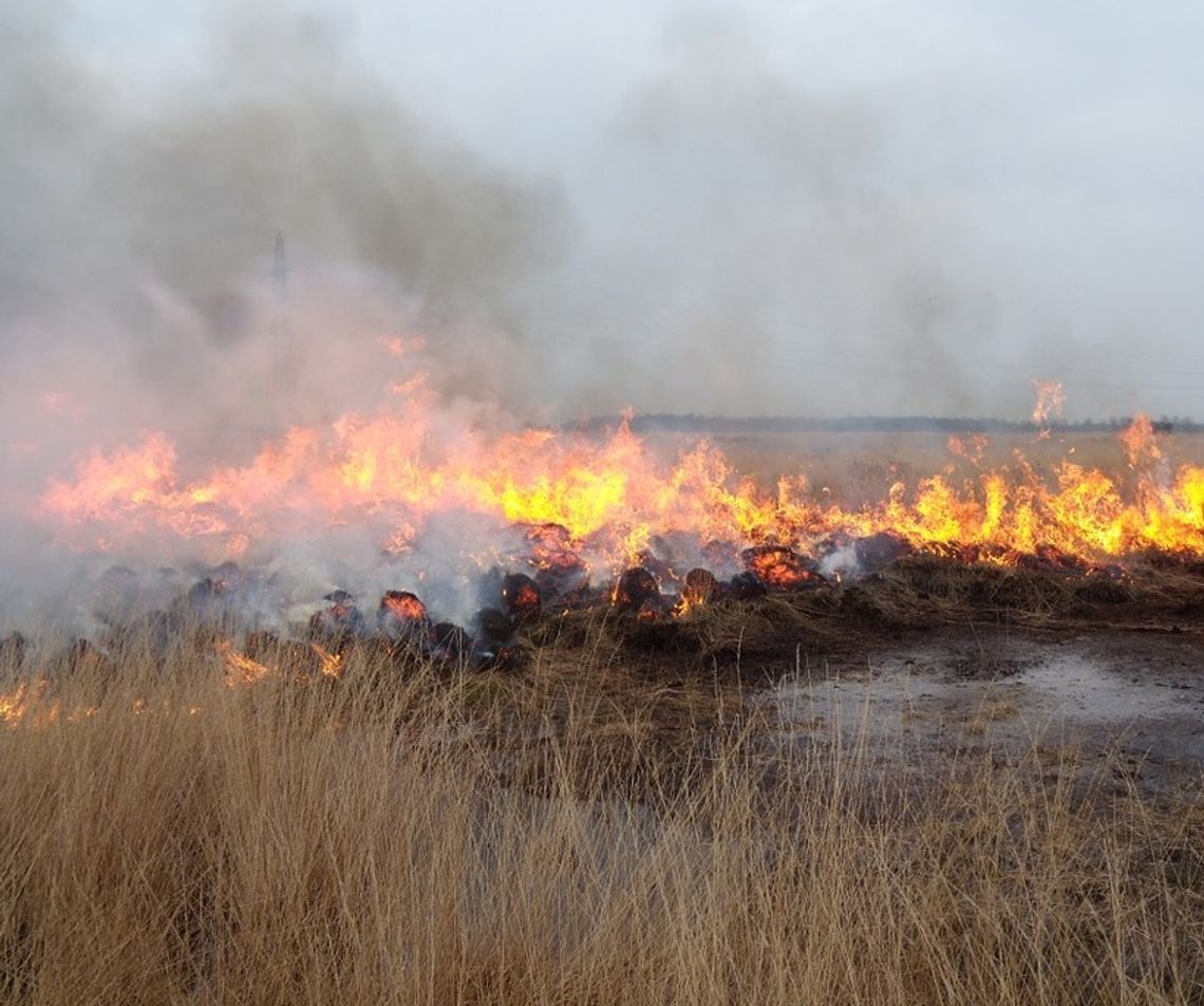 Gm. Biłgoraj: Potężny pożar w Kajetanówce. Paliły się budynki i suche trawy