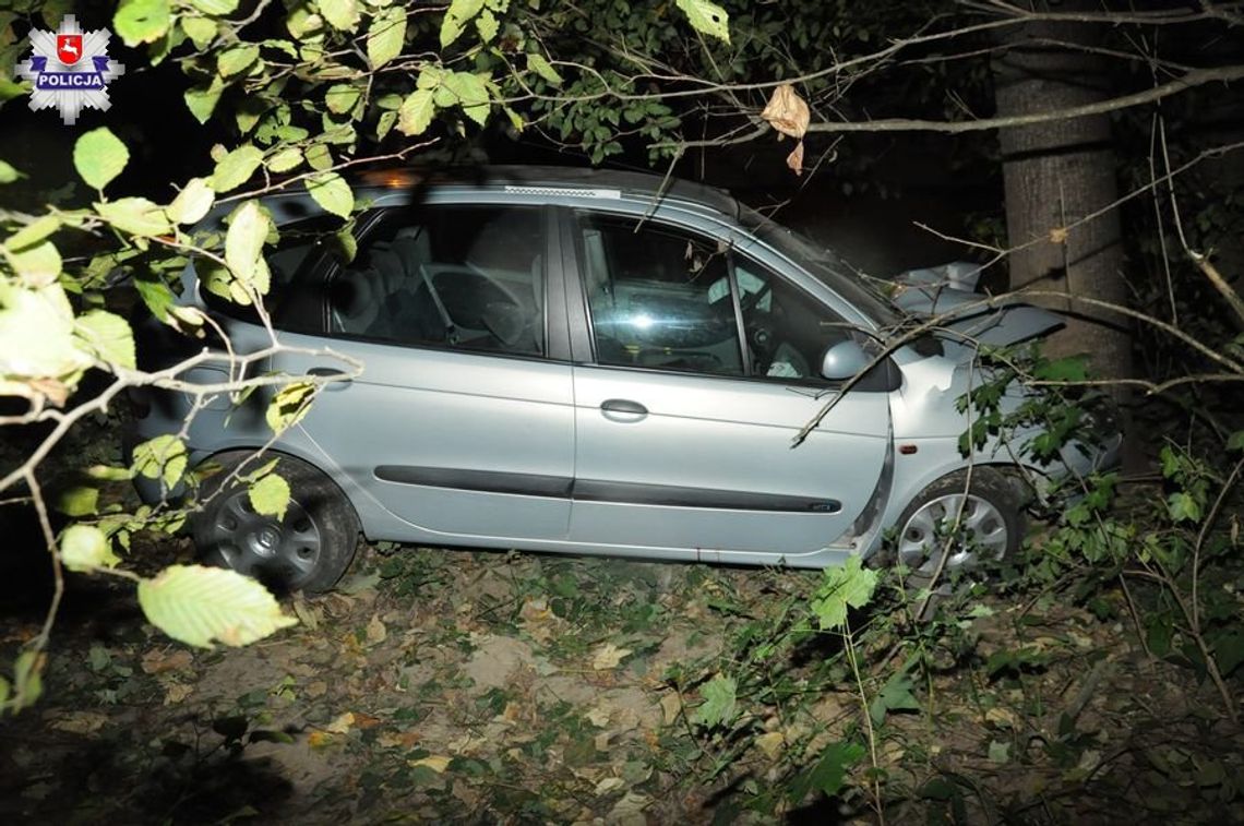 Gm. Grabowiec: Wyganiał osę z samochodu i wjechał renaultem do rowu