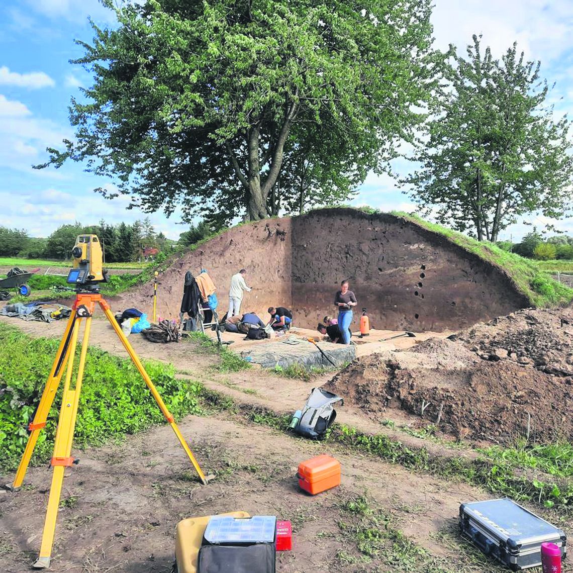Do kurhanów z Ślipczu nad Bugiem (gmina Hrubieszów) znowu wrócili archeolodzy z Instytutu Archeologii UMSC w Lublinie.