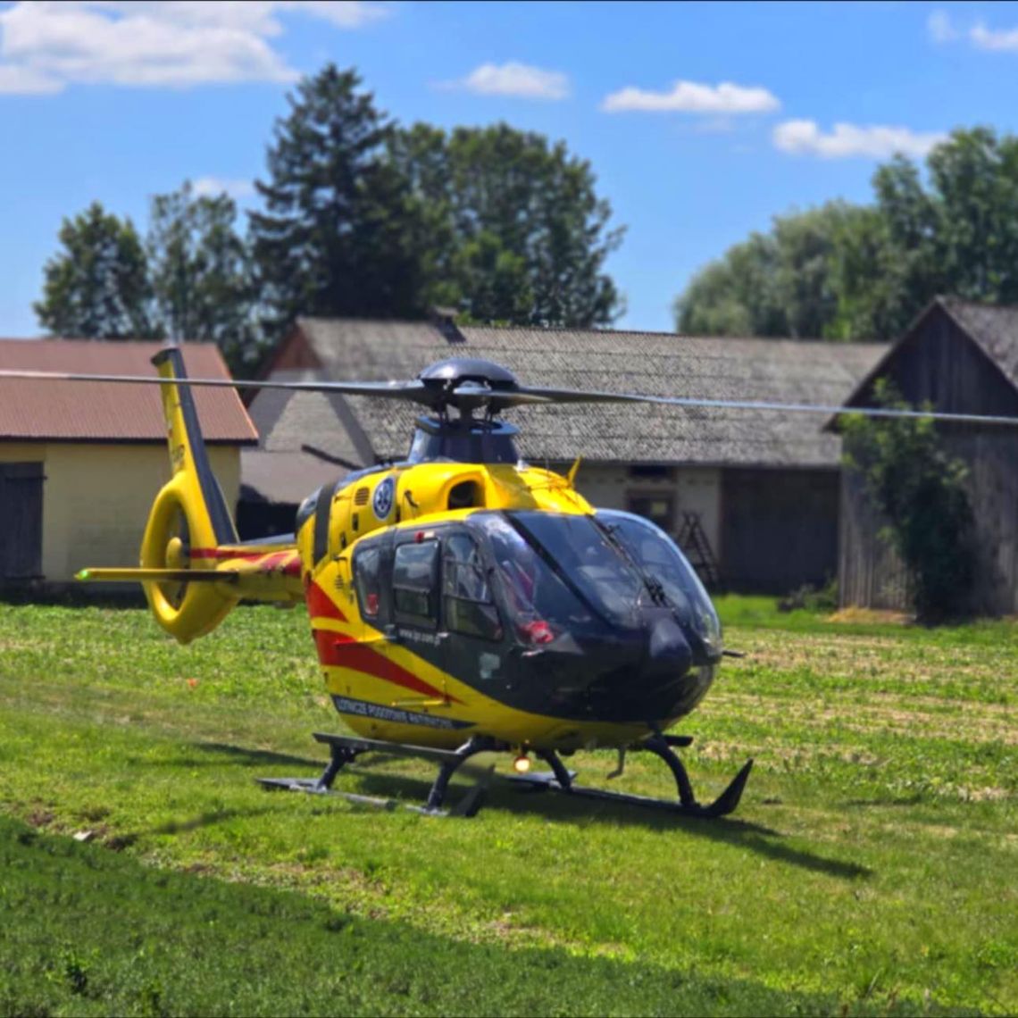 Czteroletnia dziewczynka została dotkliwie pogryziona przez psa należącego do sąsiada.