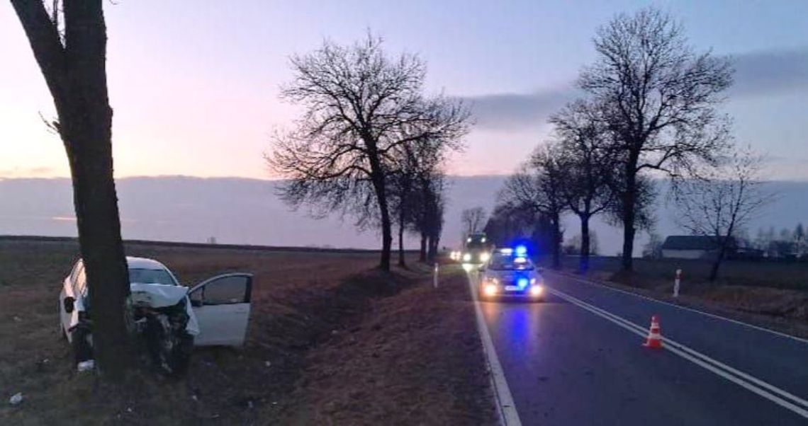 gm. Tarnogród: Chciał ominąć sarny