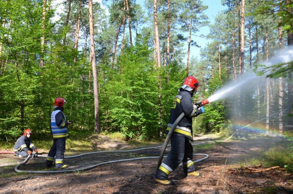 Gm. Tomaszów Lubelski: Znowu palił się las
