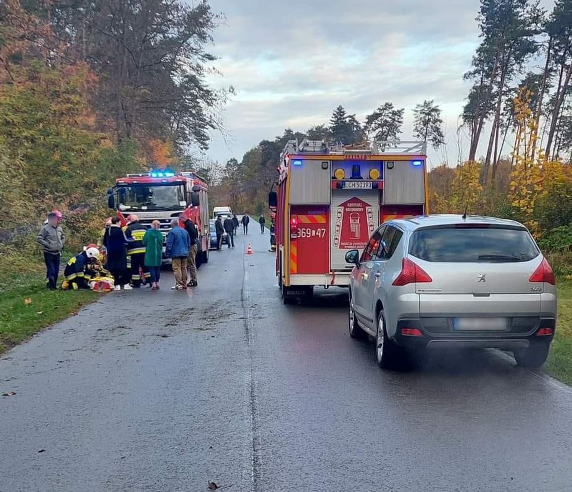 Gm. Wojsławice. Wypadła na zakręcie z drogi i uderzyła w drzewo