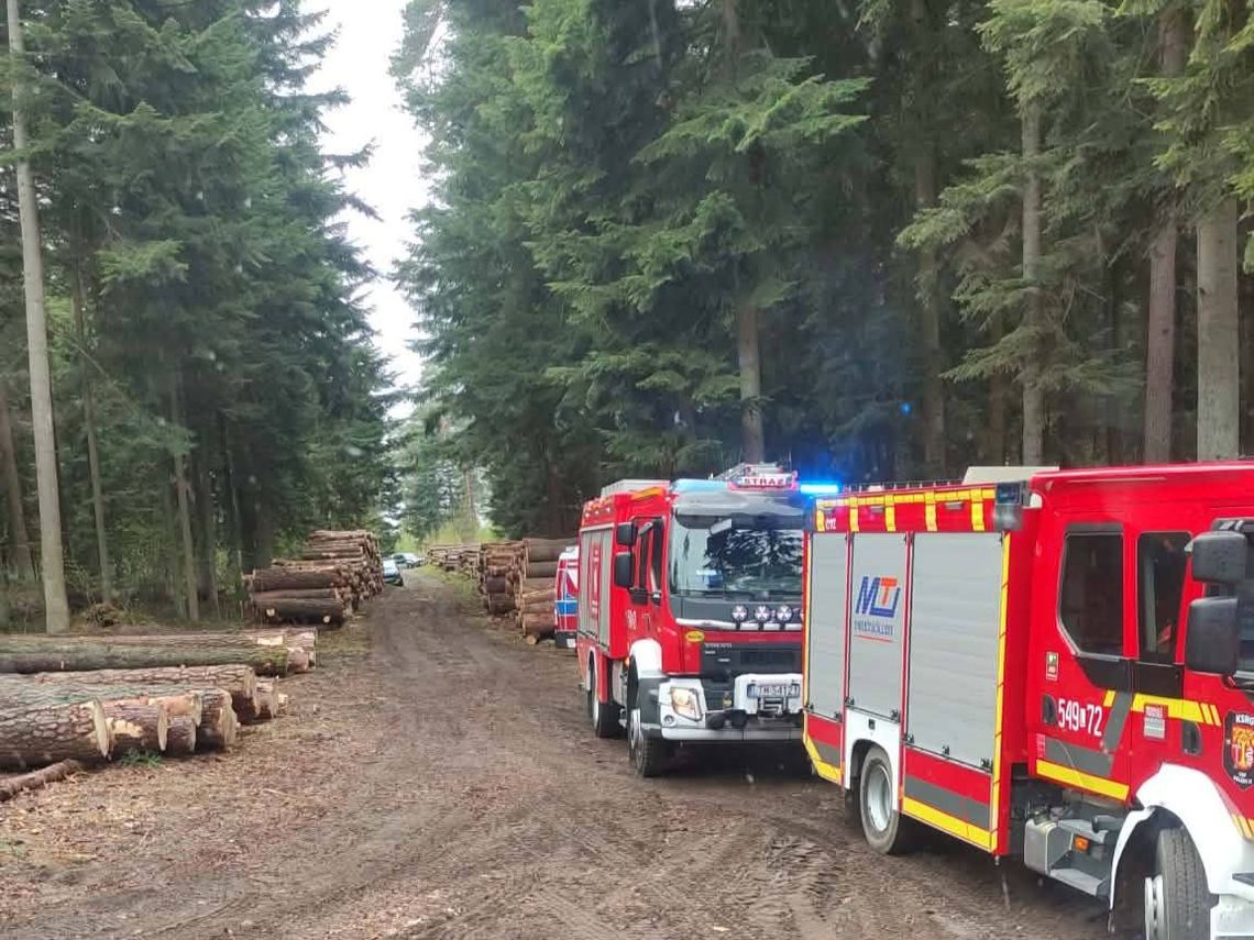 Tragedia w lesie w gminie Bełżec. Nie żyje 43-latek przygnieciony przez konar drzewa.