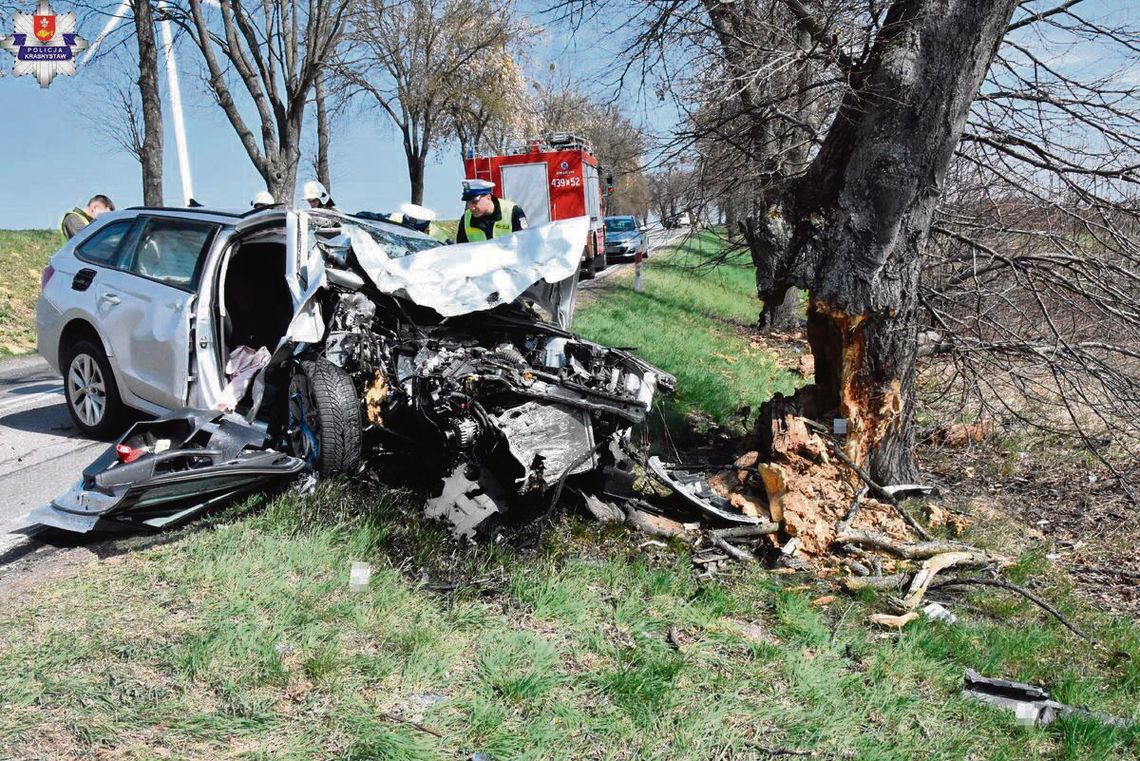Jeszcze nie ma pewności, czy do wypadku doprowadziła nadmierna prędkość, czy może chwilowe zasłabnięcie kierowcy Skody, 41-letniego mieszkańca gminy Biłgoraj.