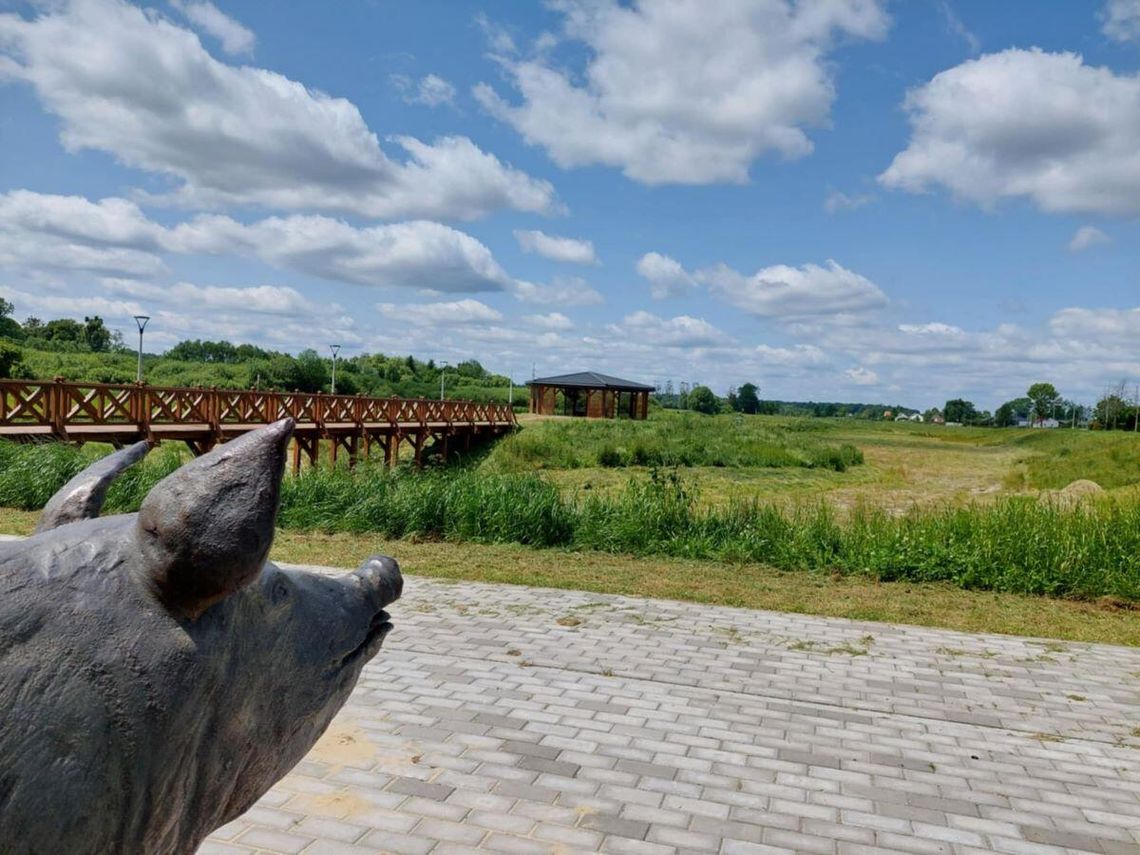 Teren jest zadbany, ale brakuje tego, co najważniejsze..., Wiprzowego Jeziora.