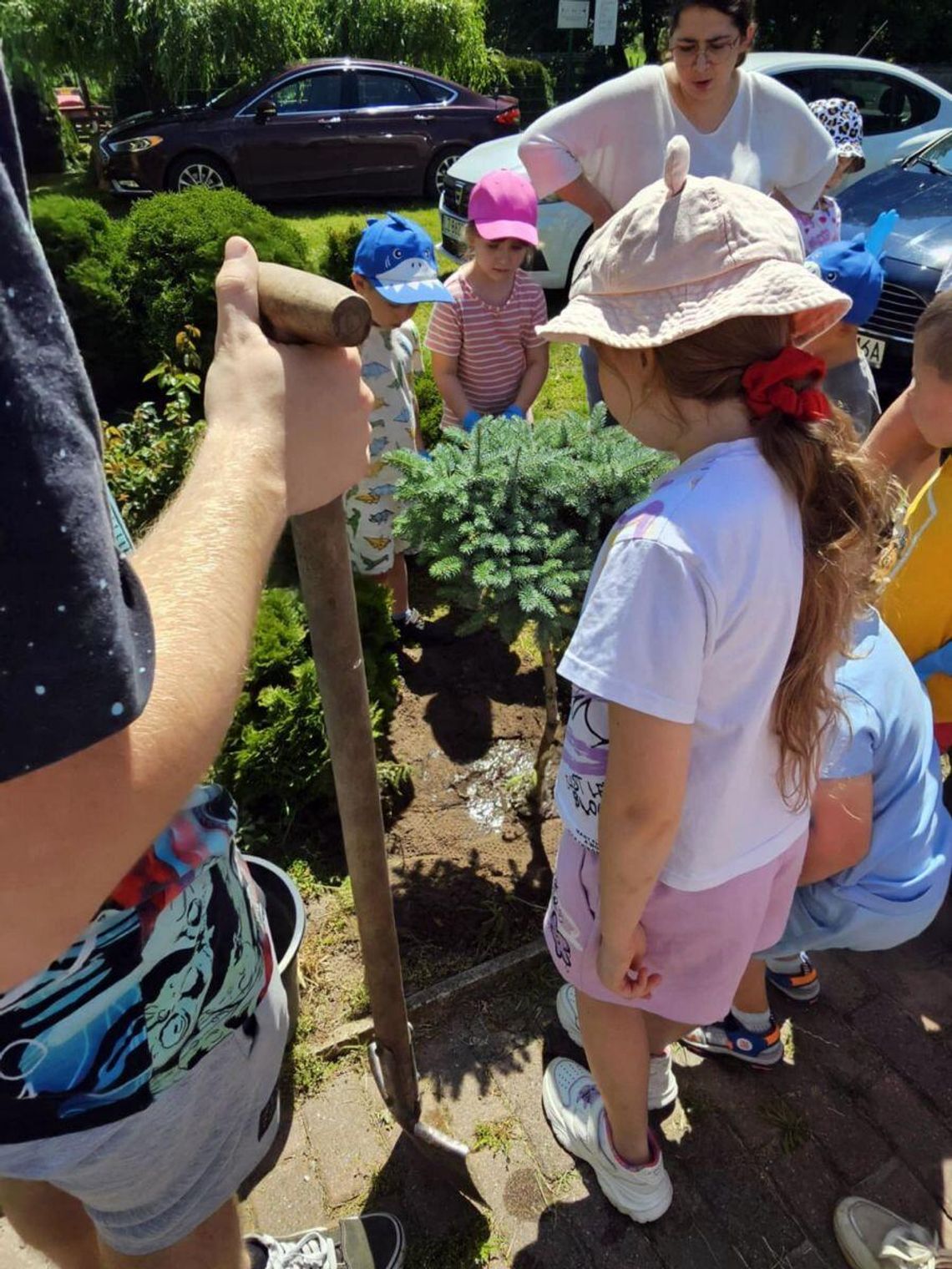 „Zielone Serce Szkoły” – to inicjatywa uczniów i nauczycieli Szkoły Podstawowej w Białowoli.
