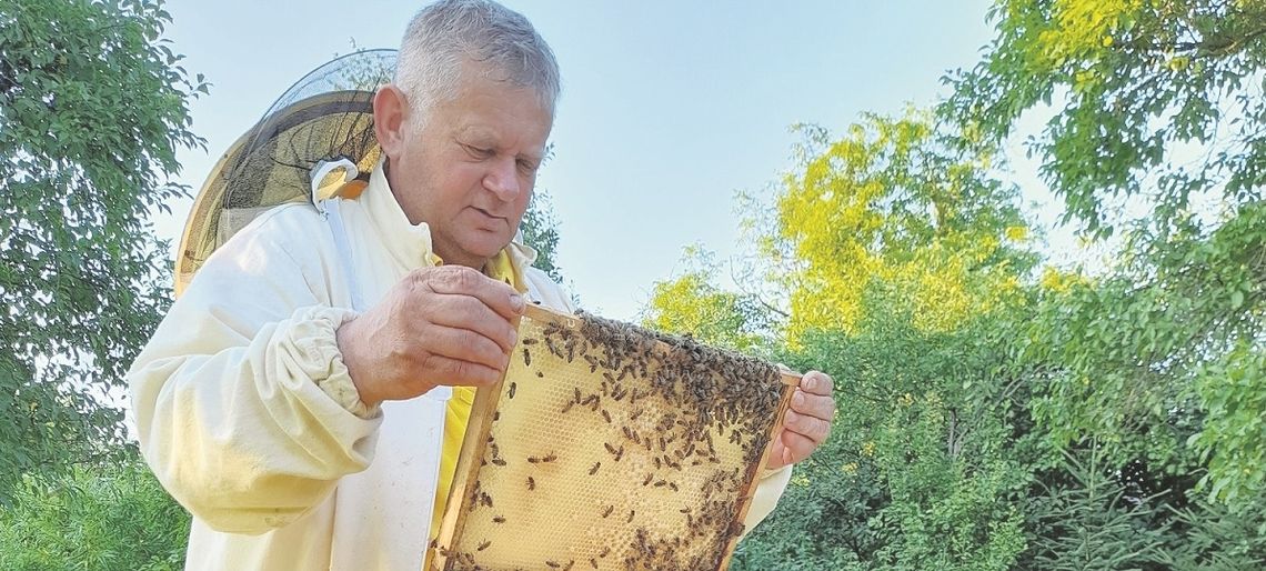 Gm.Telatyn: Otruło się 20 pszczelich rodzin