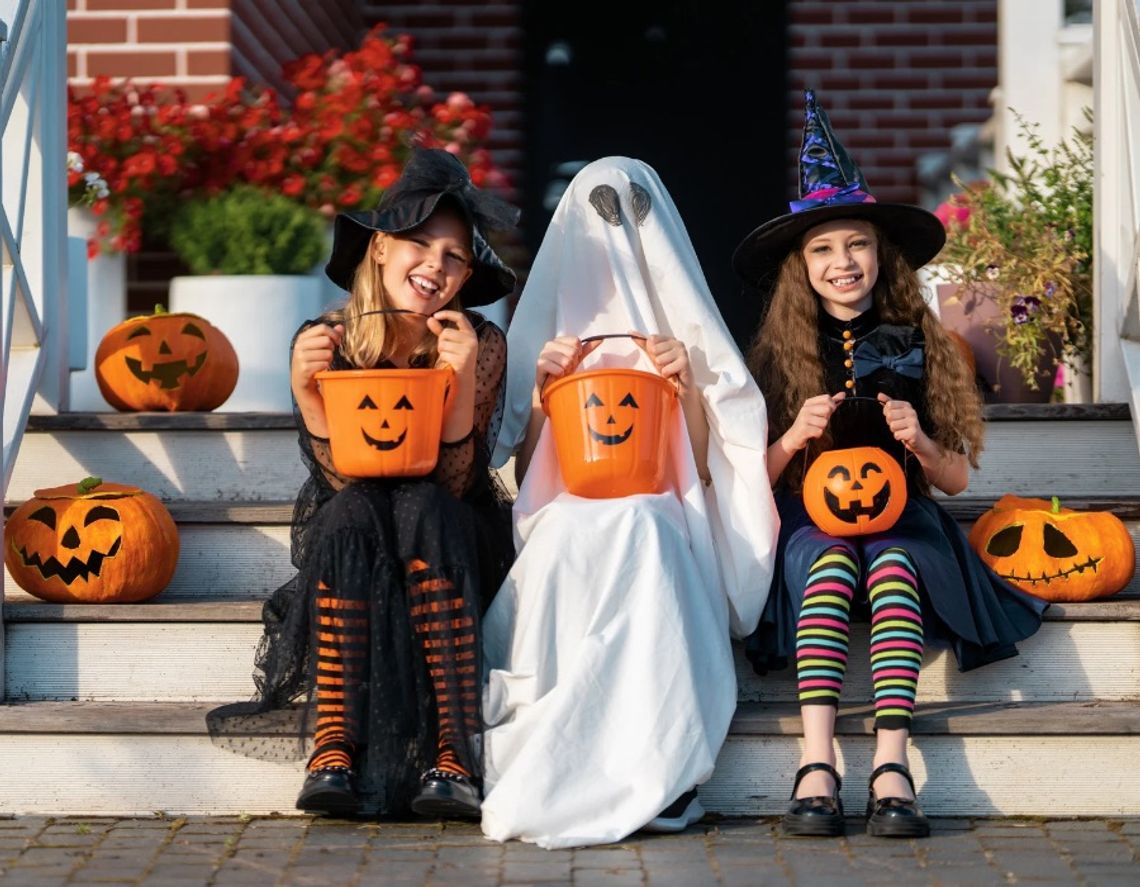 Halloween 2026. Skąd wzięło się święto duchów i ile kosztuje? W najbliższą sobotę 31 października na ulicach znów mogą pojawić się czarownice, duchy i wampiry. Halloween, choć kojarzone przede wszystkim ze Stanami Zjednoczonymi, ma znacznie starsze, europejskie korzenie.